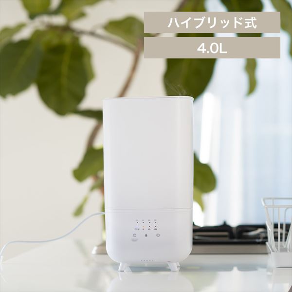 Hanx-HomenCubhb㕔b4LbzCg