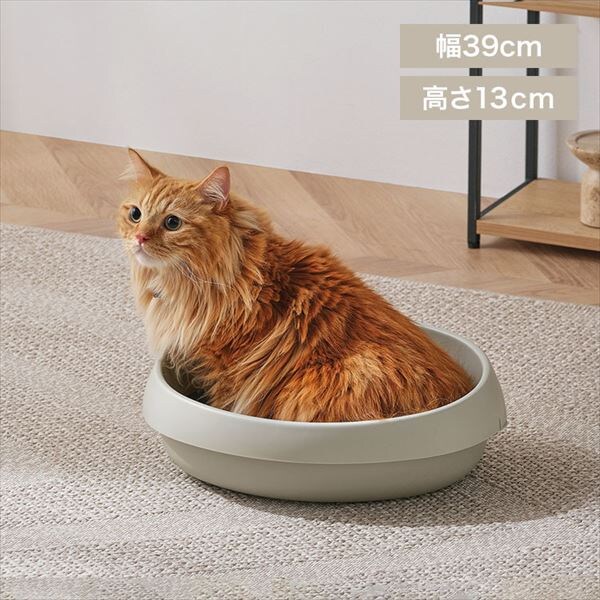 �L�̃g�C���b