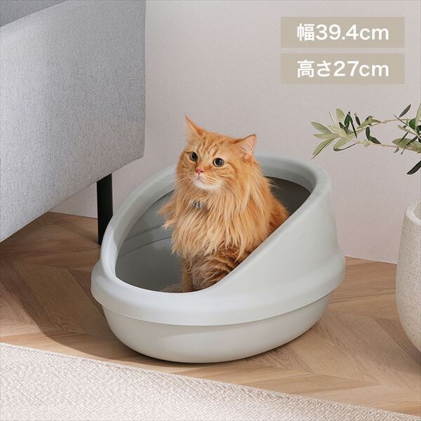 �L�̃g�C��