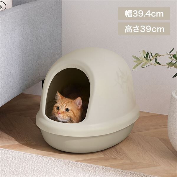 �L�̃g�C��