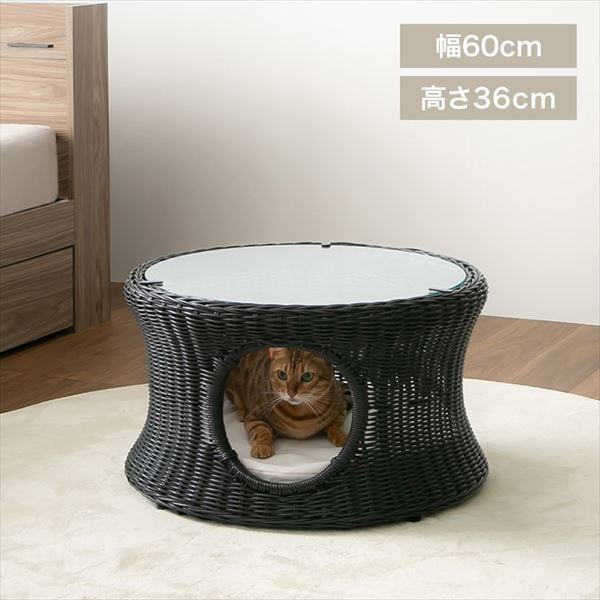 �y�b�g�n�E�X���e�[�u��