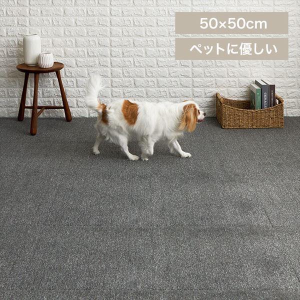 L^CJ[ybg 50~50 TKP-SS50 ~bNX`R[O[_0