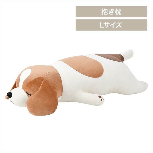 ��Ԃ͂��ƕ����܂���b�f�R