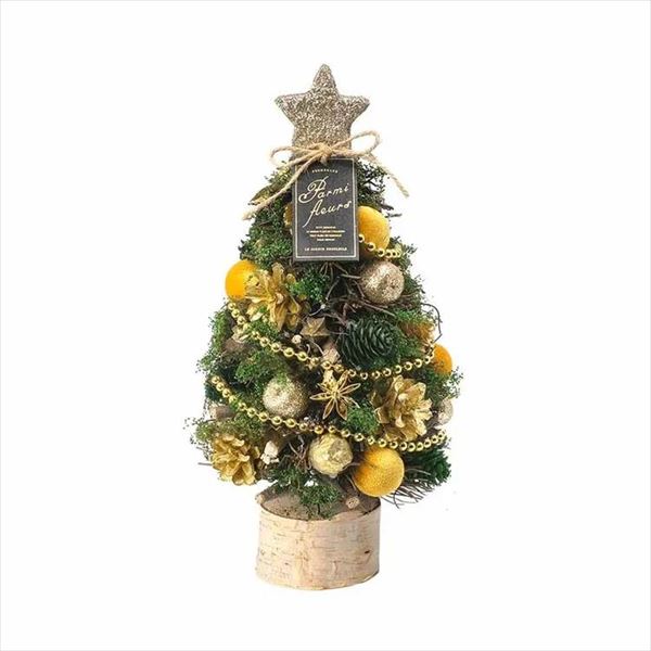 P[EC[EAC NX}Xi`c[IuWFbC_0