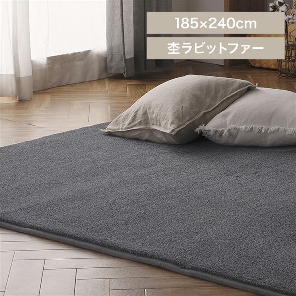 �ۃ��r�b�g�t�@�[��