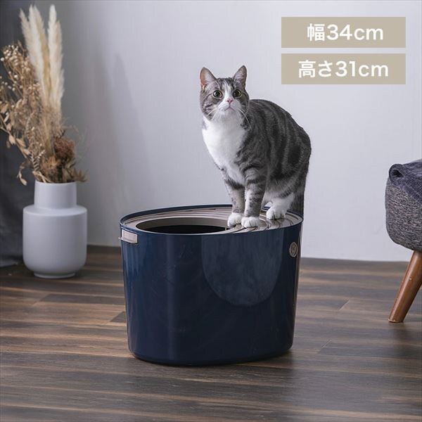 �ォ��L�g�C��