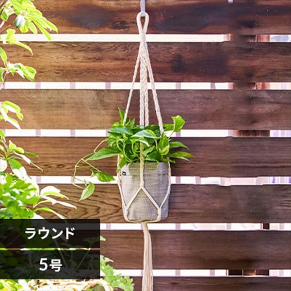 �v�����^�[�b�e�L�X�^�C���b�D�z���b5���b���E���h�b�O���[�W��