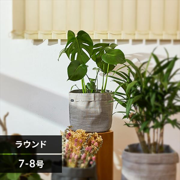 �v�����^�[�b�e�L�X�^�C���b�D�z���b7-8���b���E���h�b�O���[�W��_0