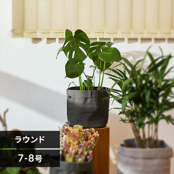 �v�����^�[�b�e�L�X�^�C���b�D�z���b7-8���b���E���h�b�I���[�u_0