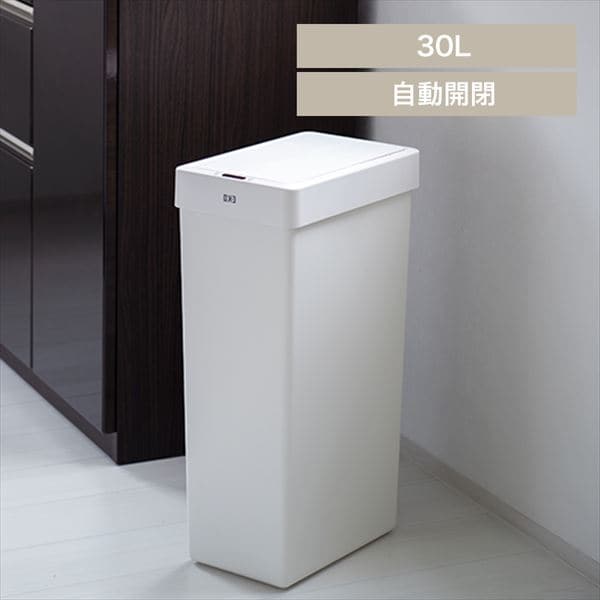 EKOJAPANb_Xg{bNXbZT[b30LbzCg