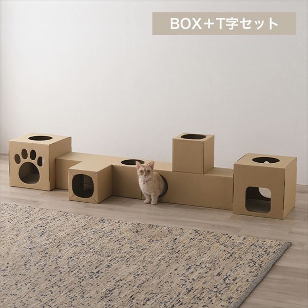 ˂˂glb BOX{TZbg _0