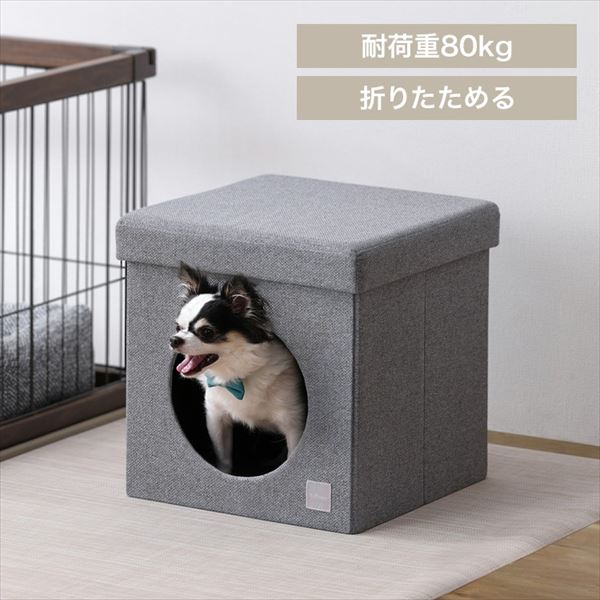 �y�b�g�n�E�X�b