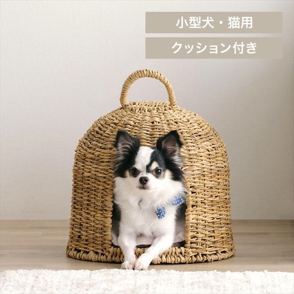 ^ybgnEXb h[ bi`_0