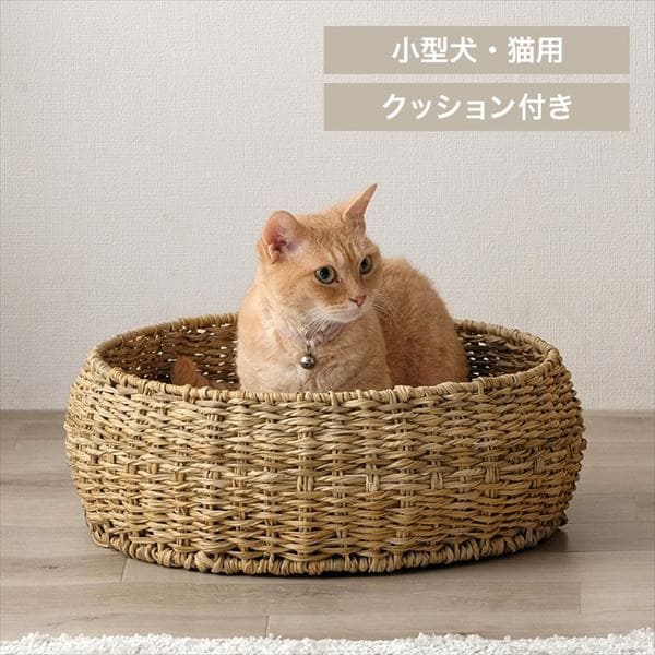 ^ybgnEXb