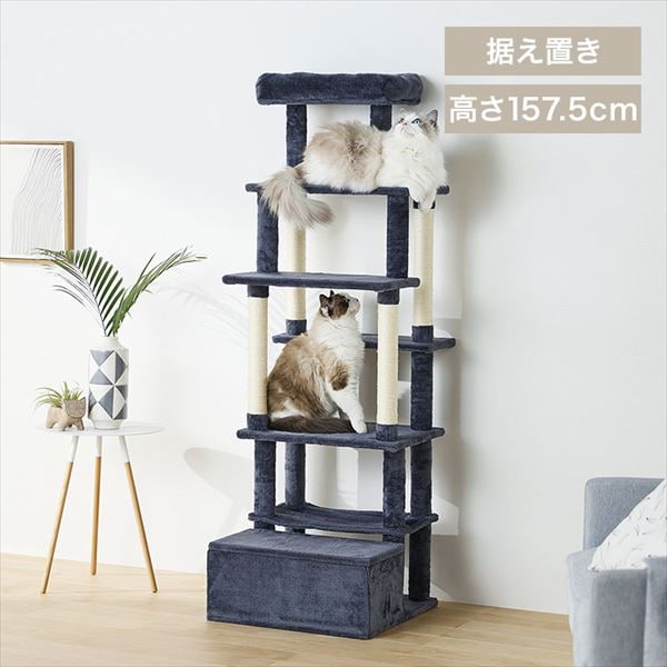 ���[�t���t�@�u���b�N�L���b�g�^���[�b