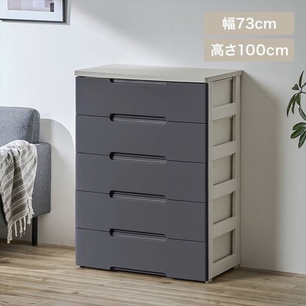 ���[�`�F�X�g����73�p��5�i���_�[�N�O���[