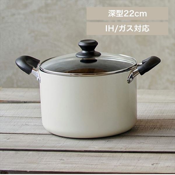 _ChR[g Ȃ 22cm [^ DIS-P22D zCg_0
