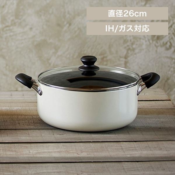 _ChR[g Ȃ 26cm DIS-P26 zCg_0