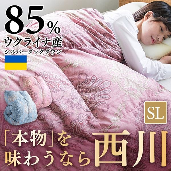 Hѕzc