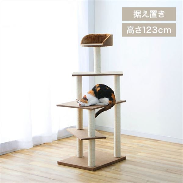 �L���b�g�^���[