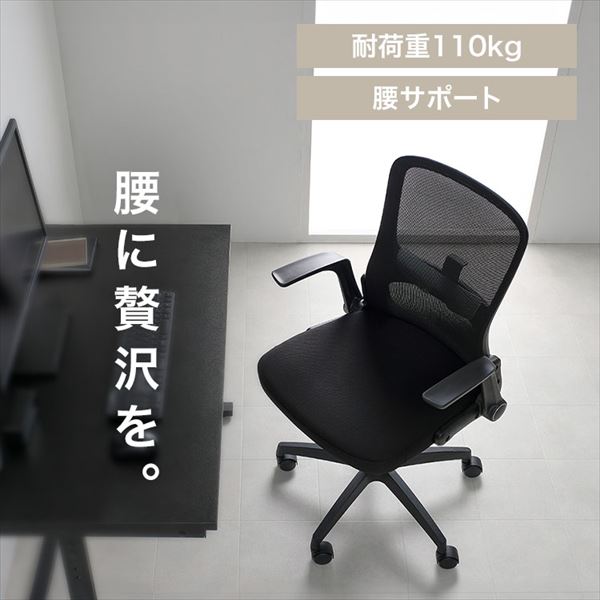 �A�[�����X�g�I�t�B�X�`�F�A