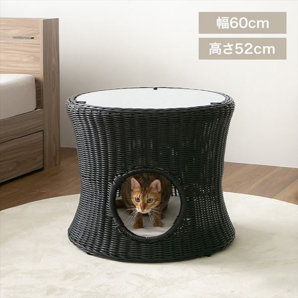 �y�b�g�n�E�X���e�[�u��