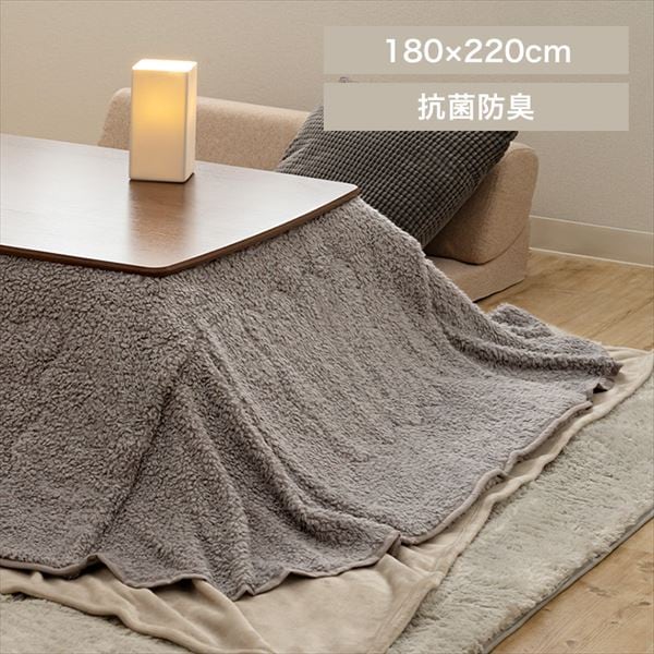 ȃXy[X|zcb180~220cmbCgO[