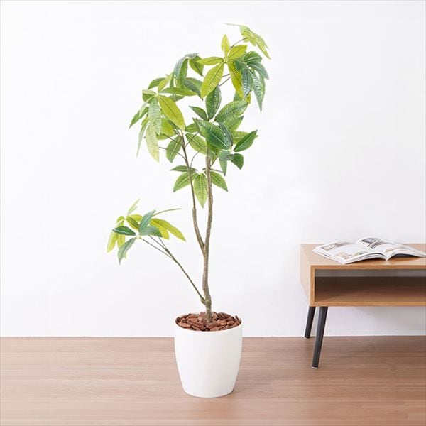観葉植物 パキラ 23027 ホワイト【代引不可】【同梱不可 観葉植物 パキラ 23027 ホワイト【代引不可】【同梱不可