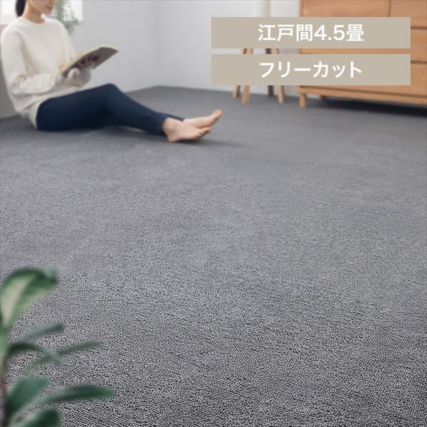 ~lJ[ybgbo^b]ˊԁb4.5bO[