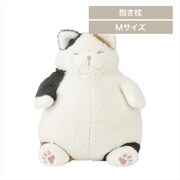 Ԃ͂