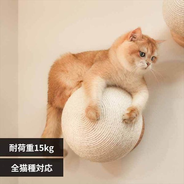 CATURN N25 �L���^�[���܌����{�[�� ��25cm MZ0002 _0