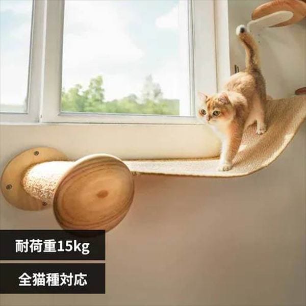 HOVER�L���b�g�n�����b�N MZ0003 _0