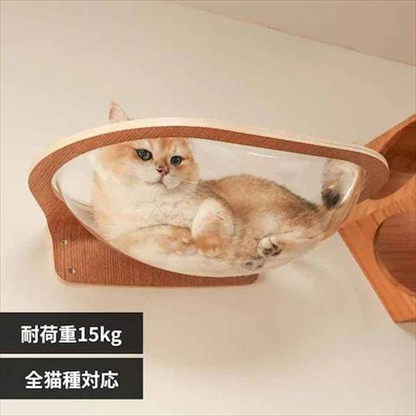 AURA���̓L���b�g�x�b�h MZ0004 _0