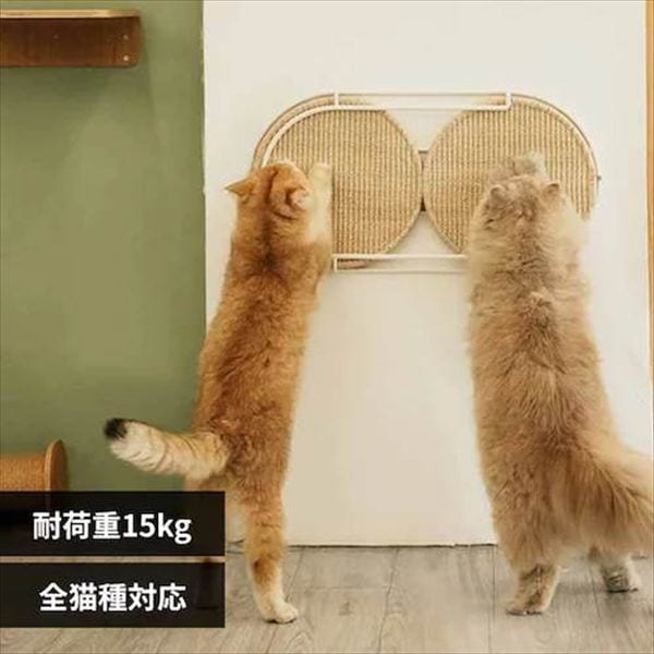 LOCUS 円形爪研ぎボード MZ0005 _0