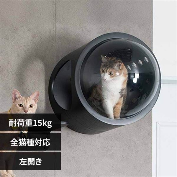 �F���DGAMMA MZ0006 �u���b�N�^������_0