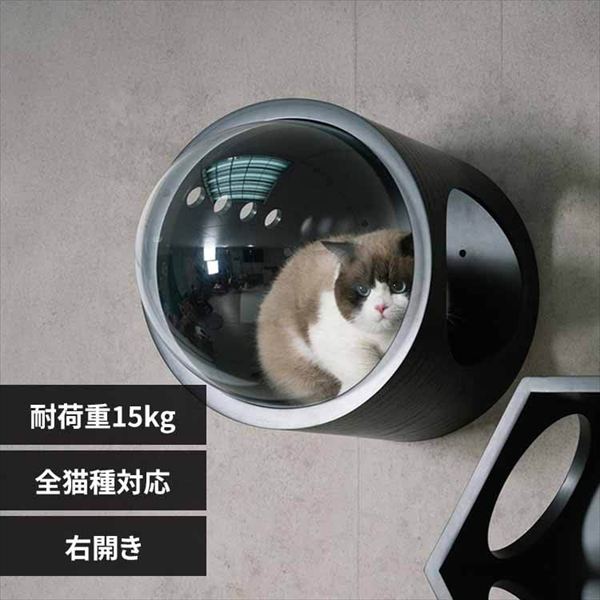 �F���DGAMMA MZ0007 �u���b�N�^������_0