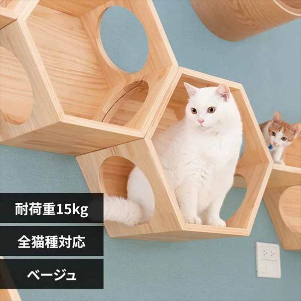 BUSYCAT�Z�p�n�E�X MZ0009 �x�[�W��_0