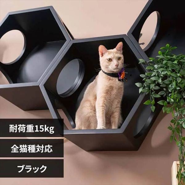 BUSYCAT�Z�p�n�E�X MZ0010 �u���b�N_0