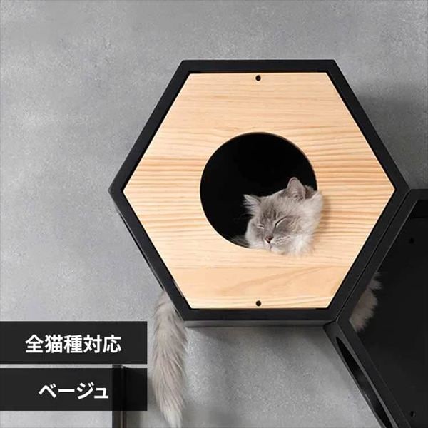 �Z�p�n�E�X�J�o�[