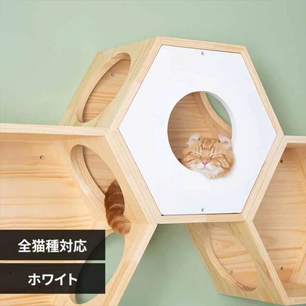 �Z�p�n�E�X�J�o�[ MZ0012 �z���C�g_0