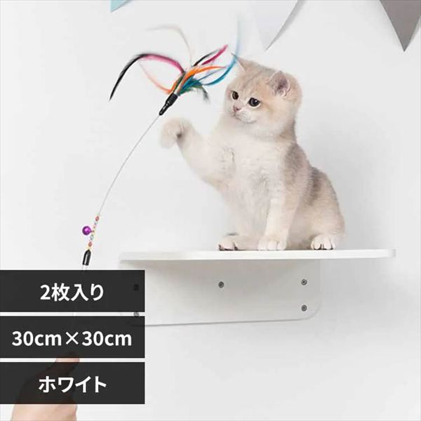 LACK �L���b�g�X�e�b�v �z���C�g 30�~30cm 2������ MZ0018_0