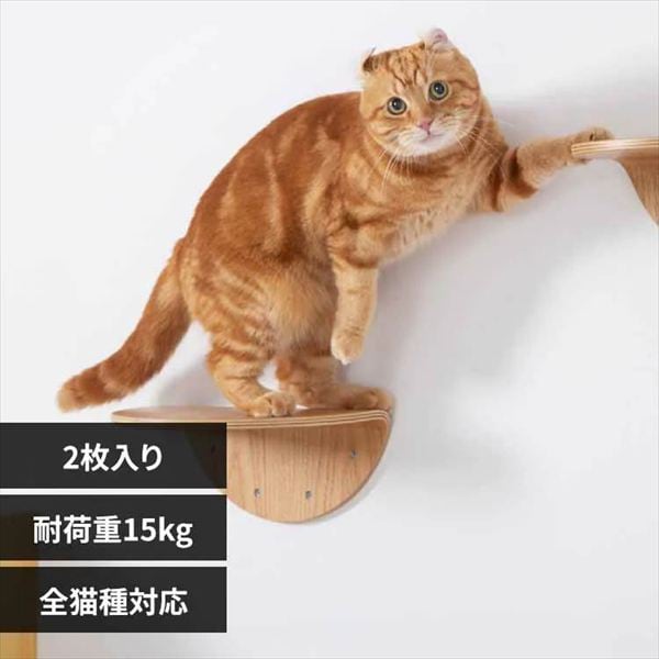 ROUNDLACK
