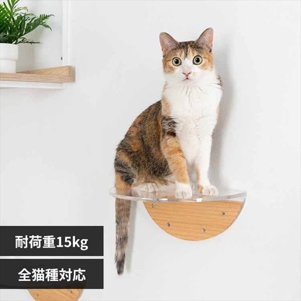 ROUNDLACK �L���b�g�X�e�b�v ���~�` �N���A CLEAR MZ0020 _0