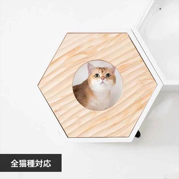 �Z�p�n�E�X�J�o�[