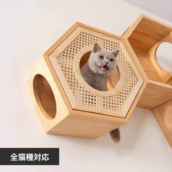 �Z�p�n�E�X�J�o�[