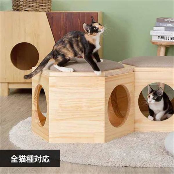 �Z�p�n�E�X�`�F�A�v���[�g MZ0023 _0