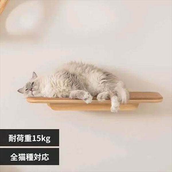 Cork �R���N�L���b�g�X�e�b�v MZ0026_0