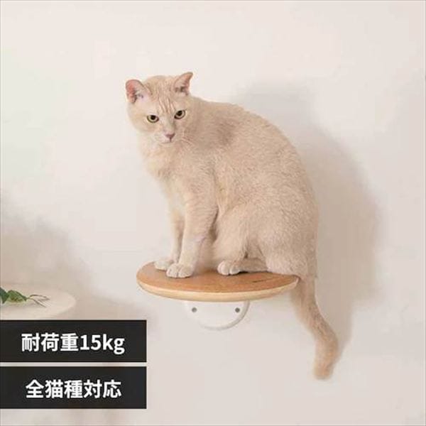 Cork-R ���^�L���b�g�X�e�b�v MZ0027 _0