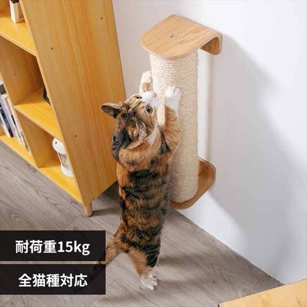 CYLINDER II �܂Ƃ��{�[�� MZ0028 _0