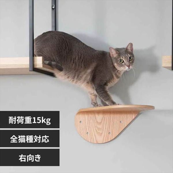 LACKTILT �L���b�g�X�e�b�v MZ0033 �E����_0